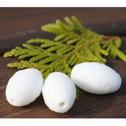 Oválné korálky z českého skla matně bílé, protáhlý tvar olivy svatba rozměry 20 mm x 11 mm 2 kusy