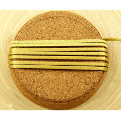 Proužek z umělé kůže PU faux leather plochý, řemínek řetízek náramek na vyrábění, vegan šířka 2, 5 mm délka 4 metry