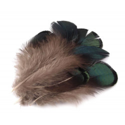 5ks Elená Piniová Bažantí Peří Délka 4, 5-9cm Pírka Péra Dekorace