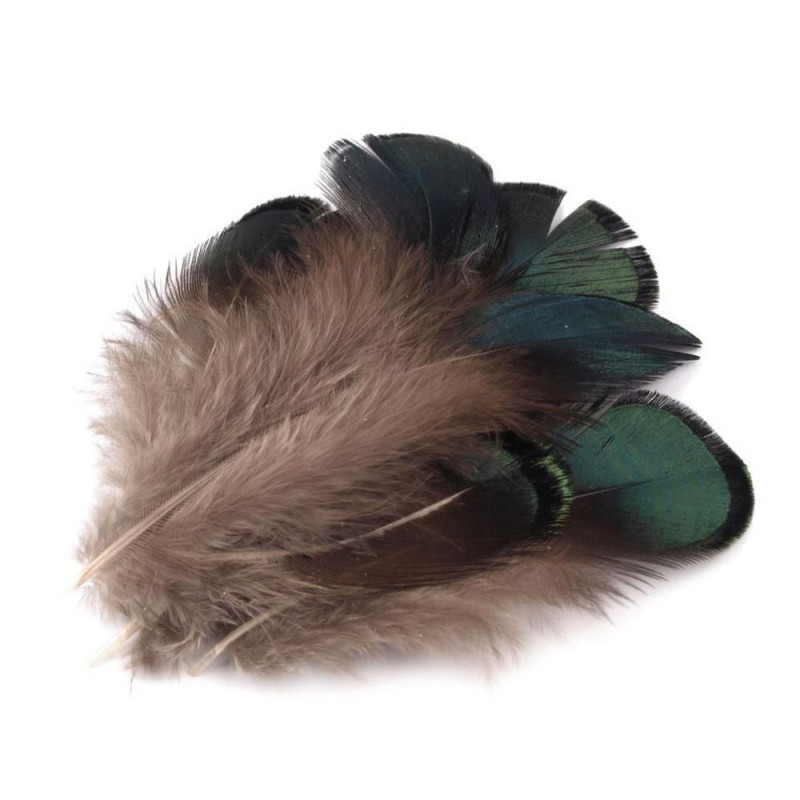 5ks Elená Piniová Bažantí Peří Délka 4, 5-9cm Pírka Péra Dekorace