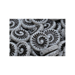 4 ks Opaque bílá černá Patina Wash Nautilus Fossil Snails Seashell Ammonite Flat Spiral Coin Round Beads české sklo 18mm